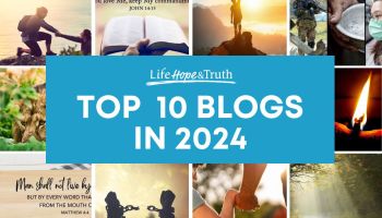 Top 10 Blog Posts of 2024
